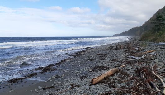 Plage de galets pour marcher sur plus d'un km de part et d'autres du site