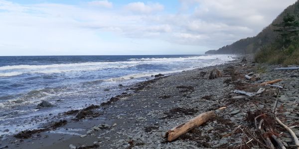 Plage de galets pour marcher sur plus d'un km de part et d'autres du site