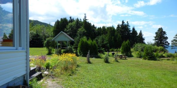 Alentour du chalet #1, c'est celui qui a le plus grand terrain dégagé